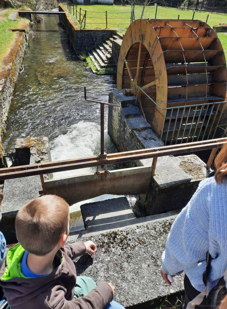 490174361 10232791383501467 8077039084895138417 n