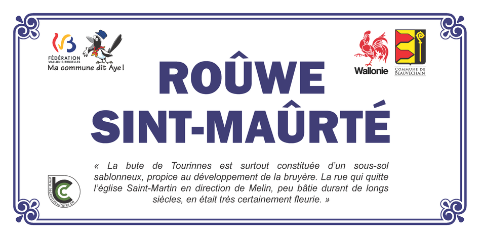 Bruyère St Martin