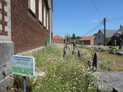  Gestion différenciée des espaces verts (4) 