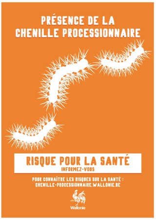 Illustration de l'actualité - cliquer pour agrandir