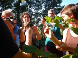  Semaine ouverte station de baguage 2015 (10) 