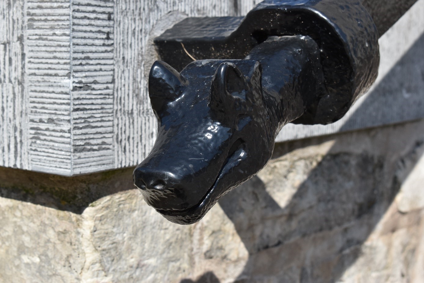 Tête de loup