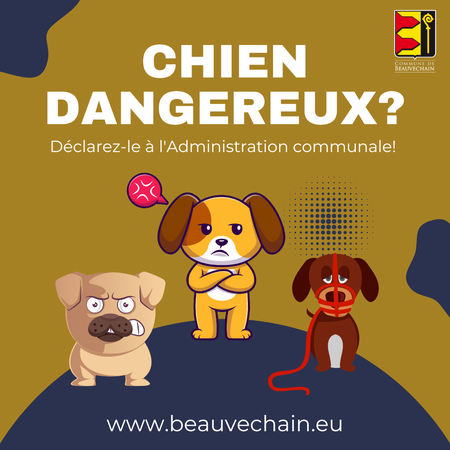Illustration de l'actualité - cliquer pour agrandir